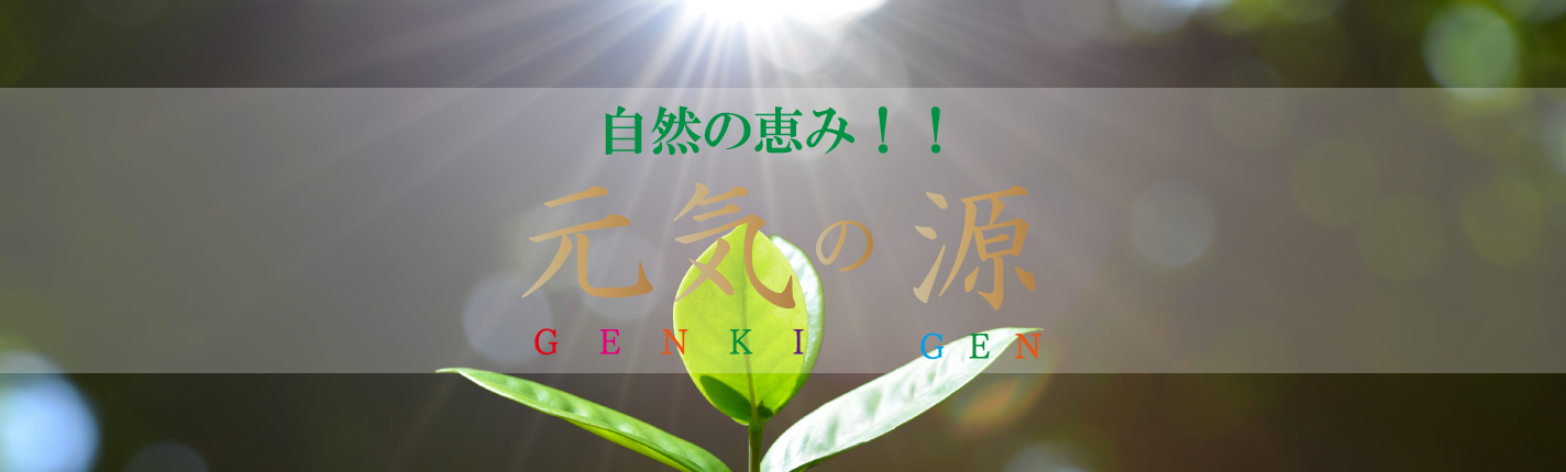 元気の源 レイワ コーポレーション