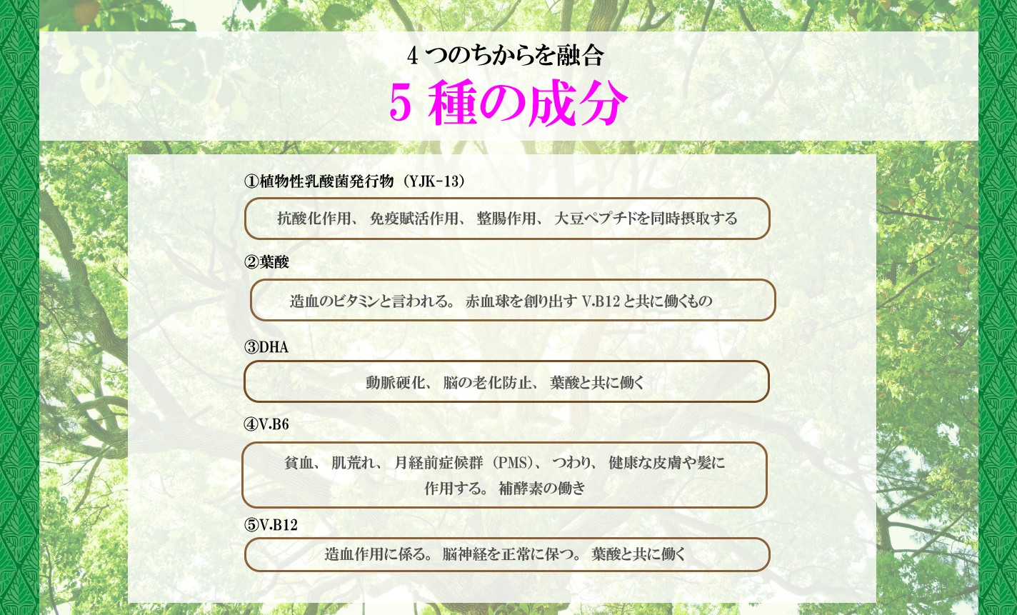 元気の源 レイワ コーポレーション