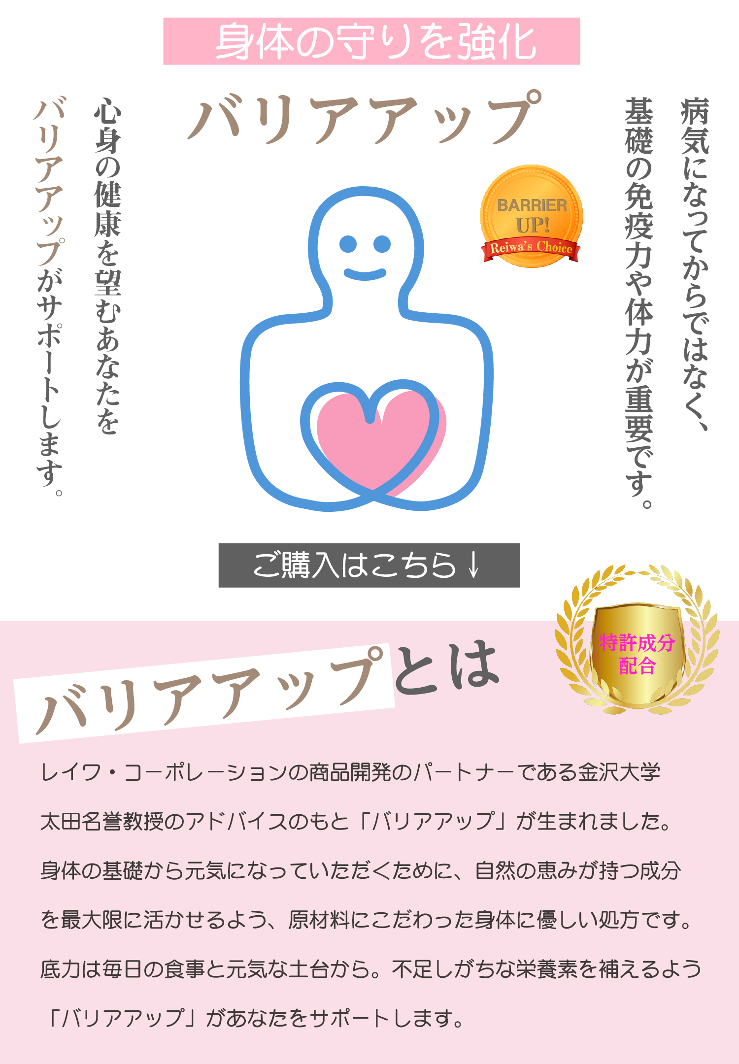 バリアアップ レイワ コーポレーション バリアアップ レイワ コーポレーション