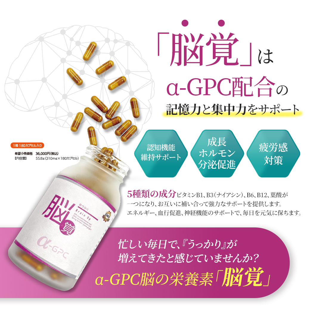 脳覚 Brain Up α-GPCサプリメントで記憶力・集中力をサポート